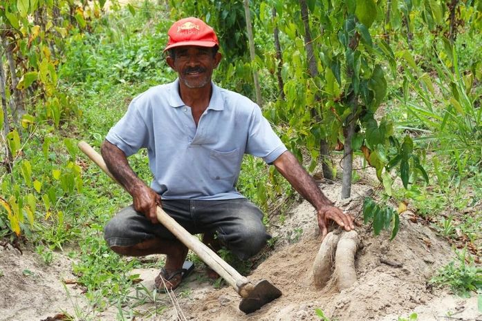 A região é rica na diversidade do plantiu de alimentação saudável, que diariamente está na mesa da população