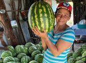 2ª Feira da Reforma Agrária acontece com apoio da Prefeitura de Delmiro Gouveia
