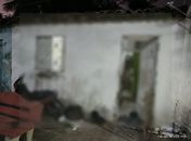 Foragido da Justiça de Sergipe, funcionário de prefeitura do interior é preso, em Alagoas