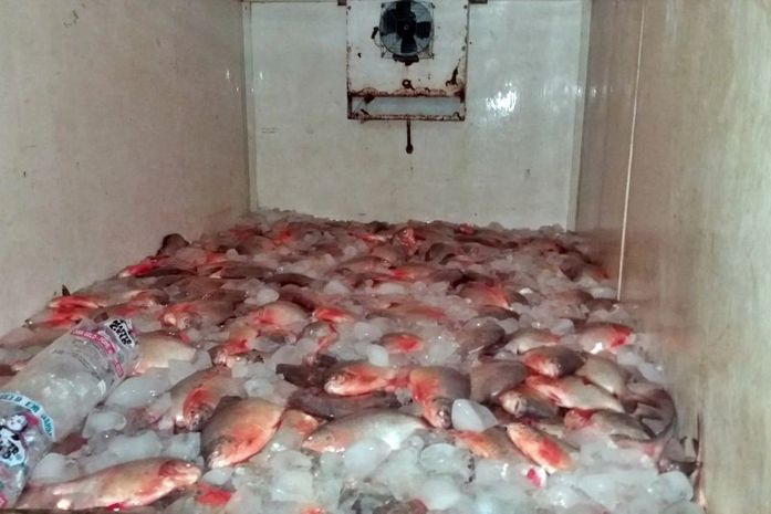 Caminhão com carga de peixe avaliada em R$ 60 mil que seguia para Alagoas é tomando em assalto