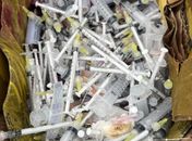 Falsa biomédica de clínica de área nobre em Maceió é indiciada por crime ambiental 