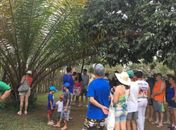 Serra da Barriga se notabiliza como herança cultural em solo alagoano