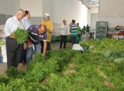 Distribuição de alimentos bate recorde beneficiando 25 mil famílias em Arapiraca