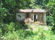 Estrutura irregular construída em área verde é removida no bairro Petrópolis