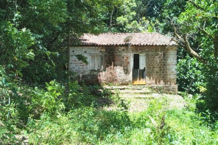 Estrutura irregular construída em área verde é removida no bairro Petrópolis