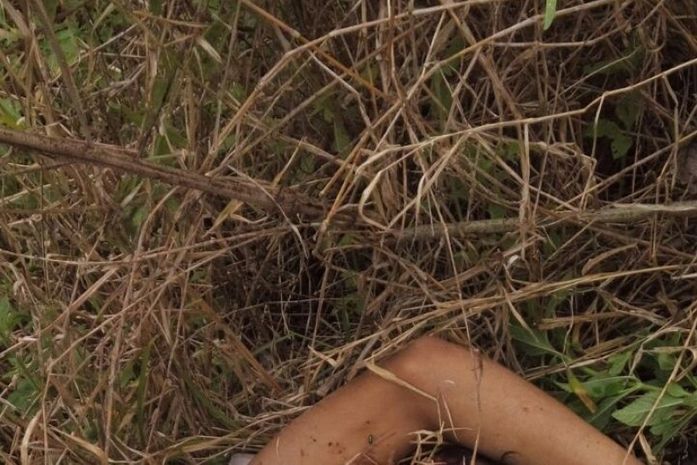 Corpo de adolescente de 14 anos é encontrado em matagal