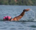 Aloha Spirit acontece em Maceió (AL) neste final de semana e traz diversas modalidades de esportes aquáticos para a Praia de Pajuçara