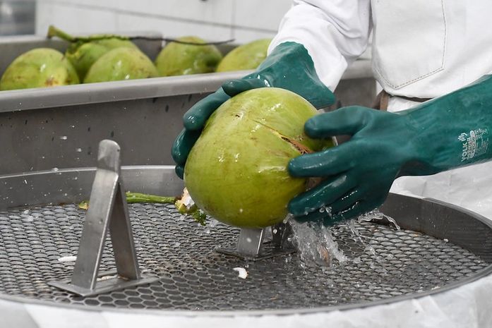 PIB agropecuário do Nordeste cresce 6,5% em 2025 e supera R$ 135 bilhões