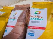 Governador Paulo Dantas lançará o programa Planta Alagoas 2025 em Palmeira dos Índios