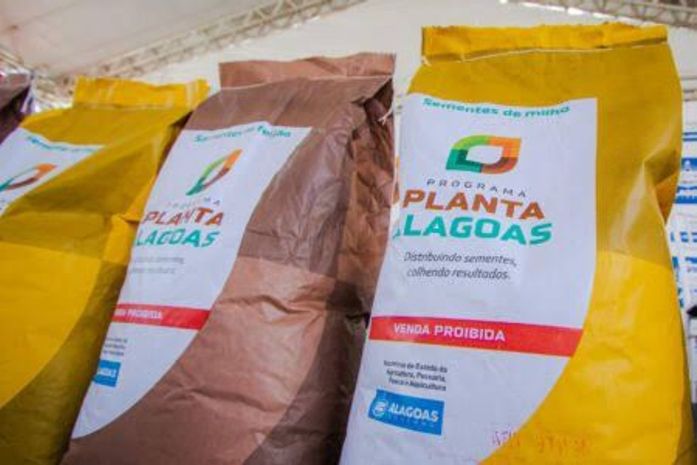 Governador Paulo Dantas lançará o programa Planta Alagoas 2025 em Palmeira dos Índios