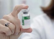 Anvisa publica registro da vacina contra a dengue do Butantan