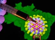 Coronavirus confirmado no Brasil: Novo exame em paciente deu positivo