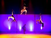 Palco Giratório 2016 começa nesta segunda-feira com o apoio da Diteal