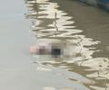 Corpo de homem com marcas de tiros é encontrado boiando na Lagoa Mundaú