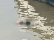 Corpo de homem com marcas de tiros é encontrado boiando na Lagoa Mundaú