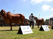 ACA firma compromisso sanitário para a realização da 71ª Expoagro/AL