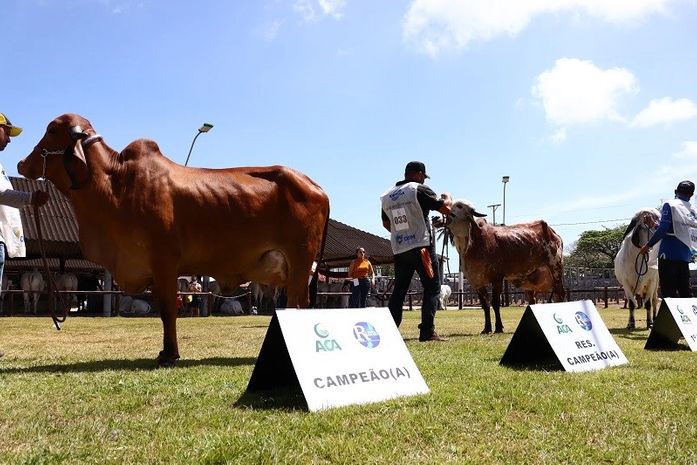 ACA firma compromisso sanitário para a realização da 71ª Expoagro/AL