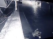 Motociclista morre após colidir em muro de residência; Veja o vídeo