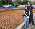 Imersão técnica no Sul da Bahia traz inovações para impulsionar projeto Experimentação Café e Cacau em Alagoas