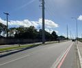 Motorista morre após carreta carregada de eucalipto capotar na AL-105, em Maceió
