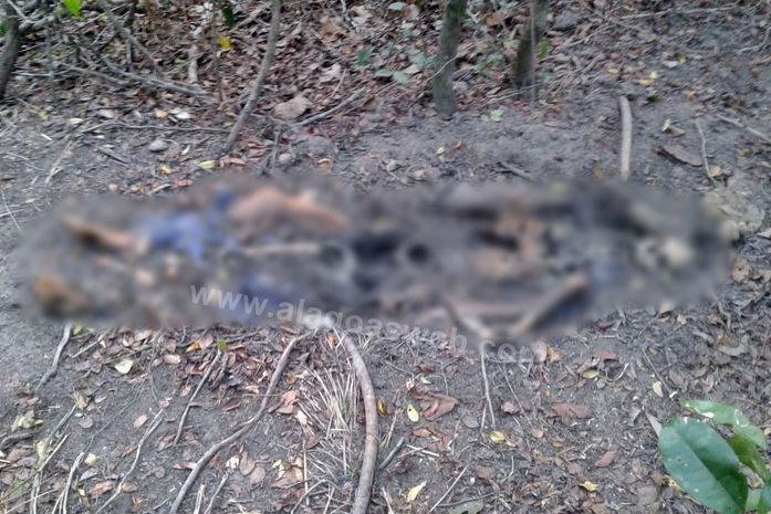Corpo em estado de decomposição é encontrado em Campo Alegre