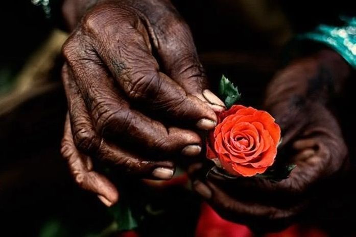 Era ele que deveria me enterrar, afinal, fui eu, quem pariu ele- disse a mãe olhando o filho morto.