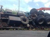 Carga de coco é saqueada após carreta tombar (Foto: Alagoasweb)