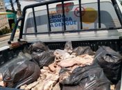 Vigilância recolhe 700 kg de produtos estragados à venda em estabelecimentos de Maceió