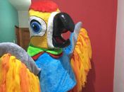 Arara será o mascote do carnaval de Arapiraca, batismo será neste sábado