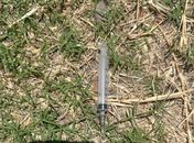 Seringas, ampolas e agulhas: Visa identifica descarte irregular de resíduos de saúde 