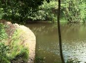 Audiência pública esclarece demarcação de terras indígenas em Palmeira dos Índios