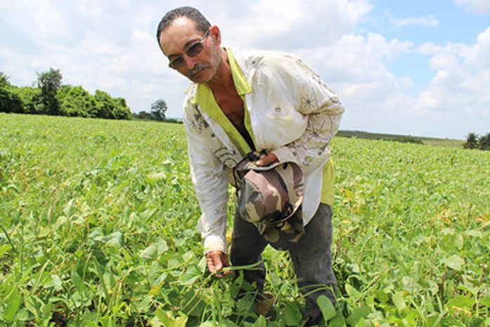 Agricultor