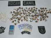 PM apreende 32 armas de fogo e quase 11 kg de drogas na última semana em Alagoas
