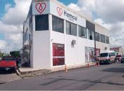 Estoque de sangue de tipos negativos está zerado e Hemoal Arapiraca precisa de doações
 

