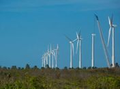 Projeto mapeia caminhos para economia verde no Nordeste