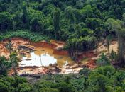 BC estuda criar sistema para fiscalizar e rastrear ouro de garimpo