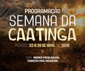 Delmiro Gouveia realizará Semana da Caatinga com foco na preservação do Macaco-Prego-Galego