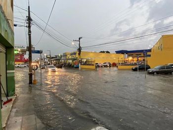 Rs=w:350,h:263,i:true,cg:true,ft:cover?cache=true