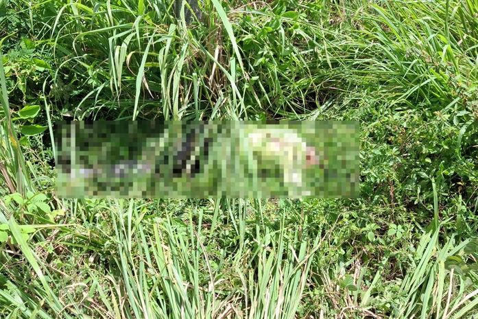 Ciclista morre após ser atropelado na AL-101; motorista foge sem prestar socorro