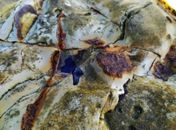 Material foi encontrado na Ilha de Santa Bárbara, que faz parte do arquipélago, e na Ponta da Baleia, em Caravelas (BA).