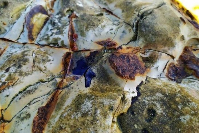 Material foi encontrado na Ilha de Santa Bárbara, que faz parte do arquipélago, e na Ponta da Baleia, em Caravelas (BA).