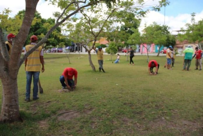 Prefeitura e iniciativa privada plantam mais de 70 arvores no Bosque das Arapiracas