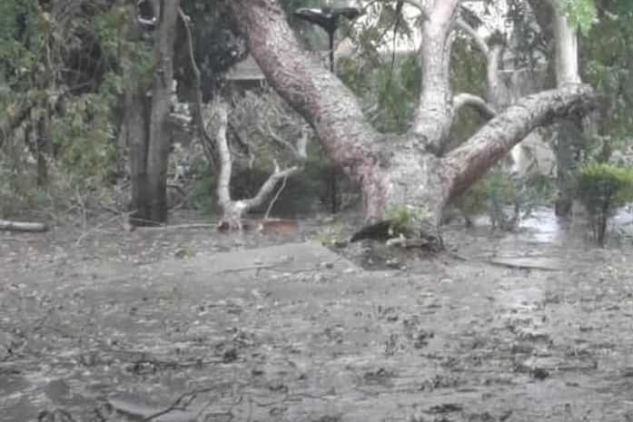 Prefeito de Arapiraca decreta alerta geral por causa de forte temporal na cidade