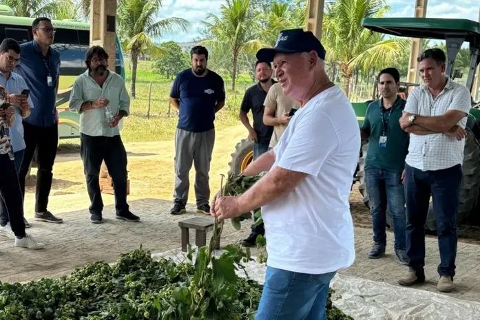 Produtor de lúpulo alagoano conquista prata na Copa Brasileira de Lúpulos