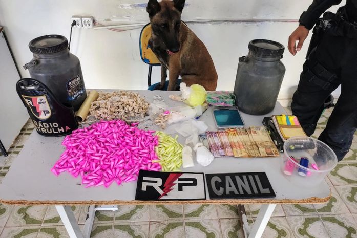 PM apreende três armas de fogo e drogas em ações no interior de Alagoas