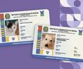 “A população abandonada é gigantesca”: Maceió aprova 'RG Animal' em meio a surto de epidemia invisível