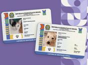 “A população abandonada é gigantesca”: Maceió aprova 'RG Animal' em meio a surto de epidemia invisível