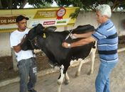 Governador empossa Comitê de Defesa Agropecuária nesta quinta