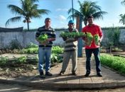 Secretaria de Agricultura e Meio Ambiente de São Miguel dos Campos distribui de milhares de alevinos e de hortaliças no município
