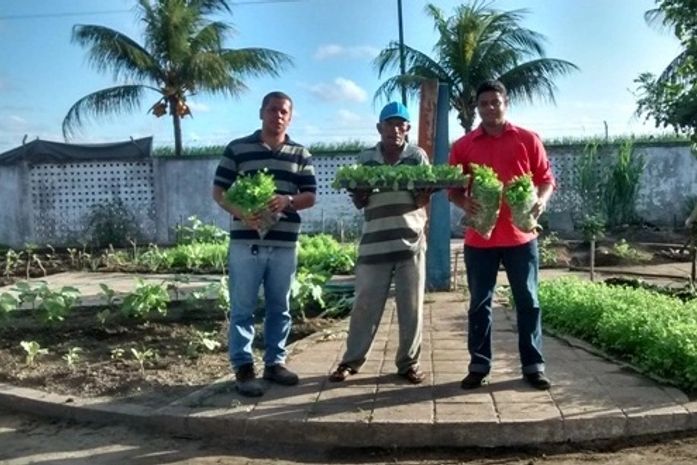 Secretaria de Agricultura e Meio Ambiente de São Miguel dos Campos distribui de milhares de alevinos e de hortaliças no município